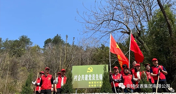 黨建強引領，共植先鋒林